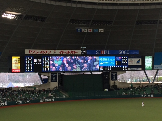 プロ野球観戦