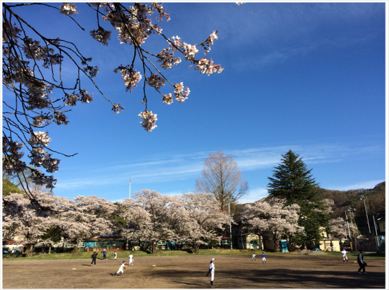 桜満開の旧志賀小学校